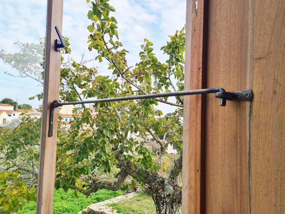 Hidden Gem Of 1900, 7km From Sea Holiday home