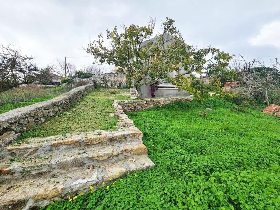 Holiday home Hidden Gem Of 1900, 7km From Sea